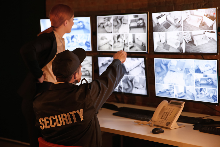 Considering a Career in the Security Industry?